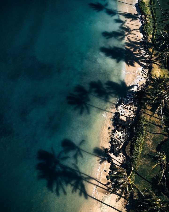 tropic