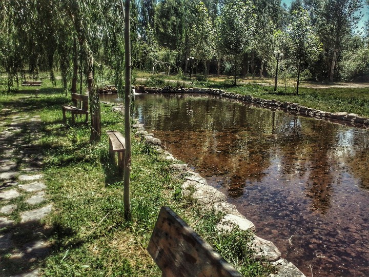 nature