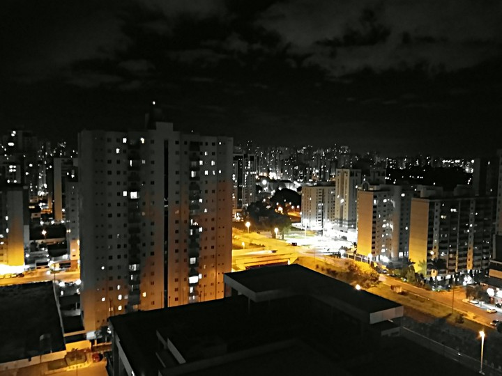 Selva de pedra