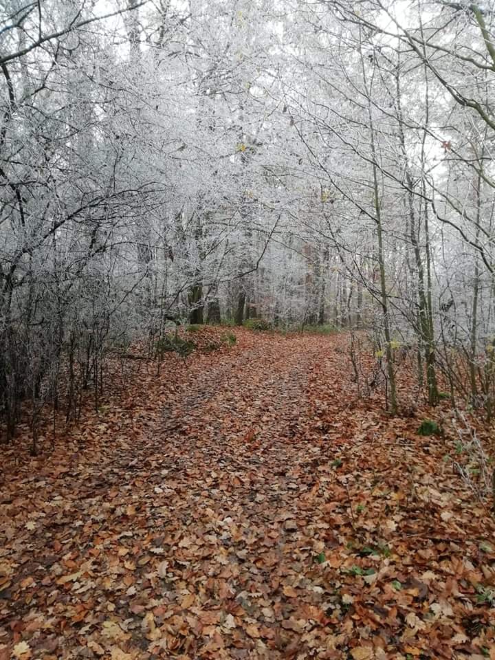 Winter day