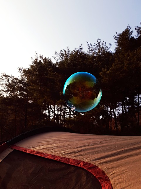 비눗방울 둥실