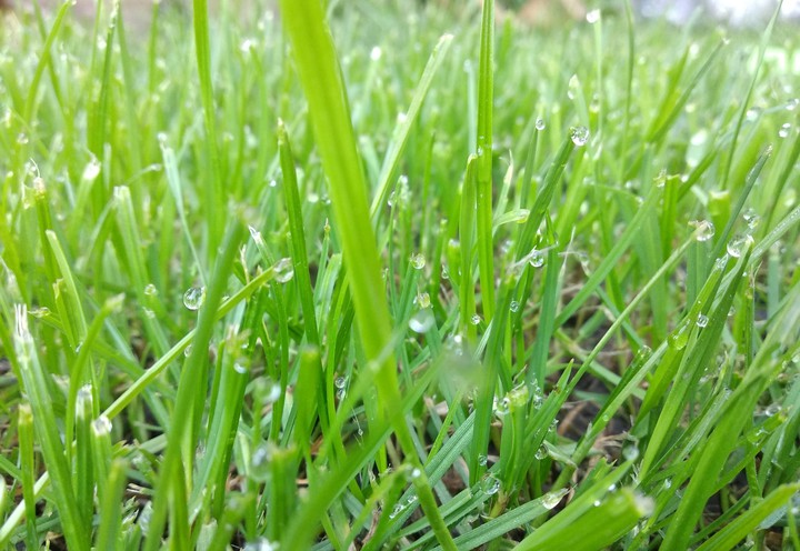 world in drop