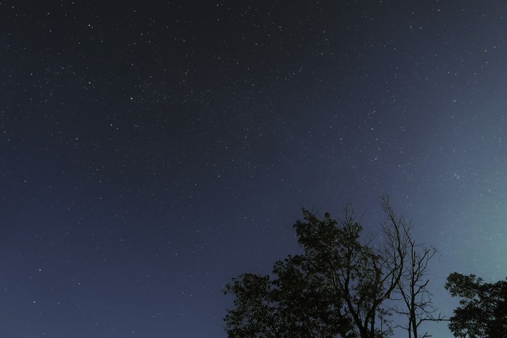 stars
