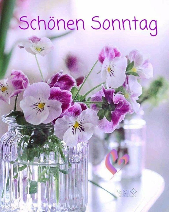 Schön Tag
