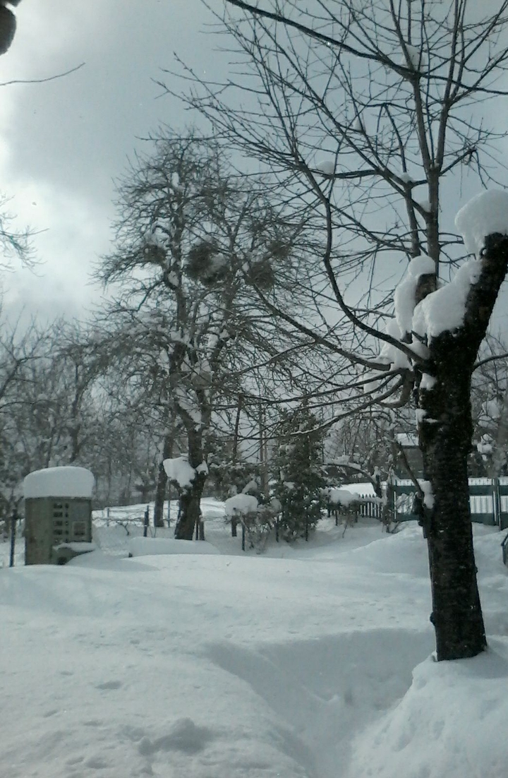 snow