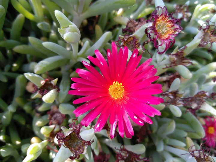 Amazing coloring by God!