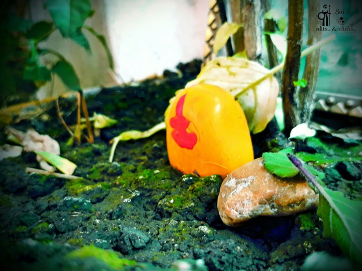 indian God idols