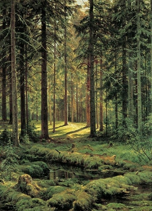 Into the Forest