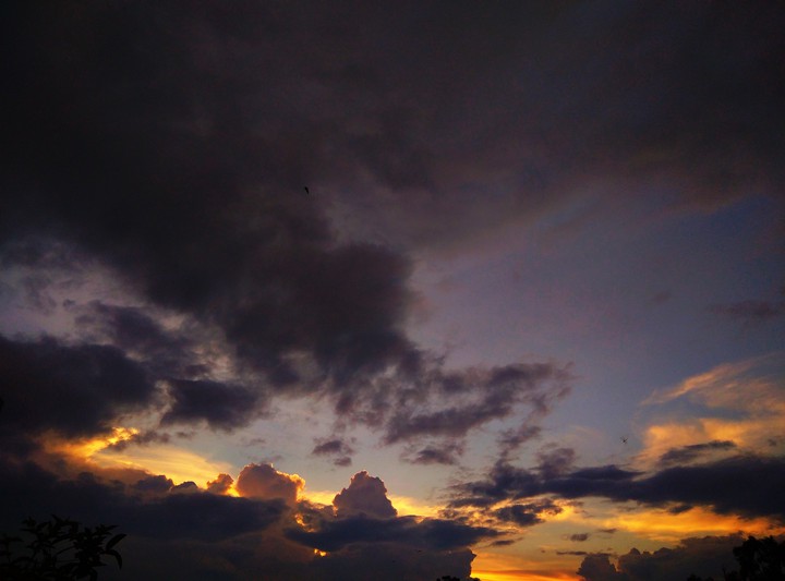 weather