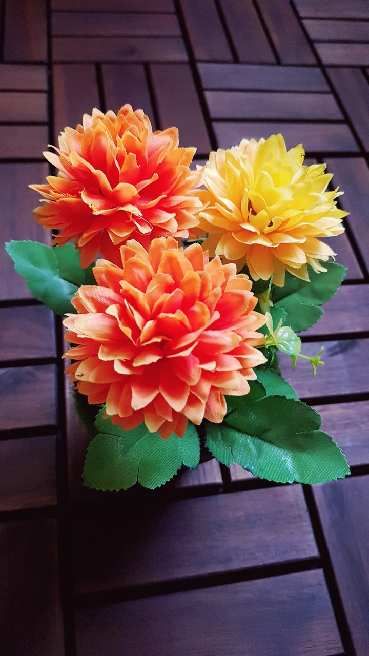 flowers