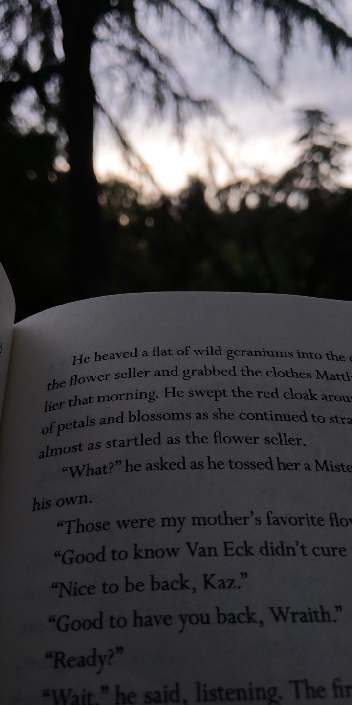 Reading in a park