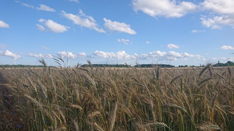 sky