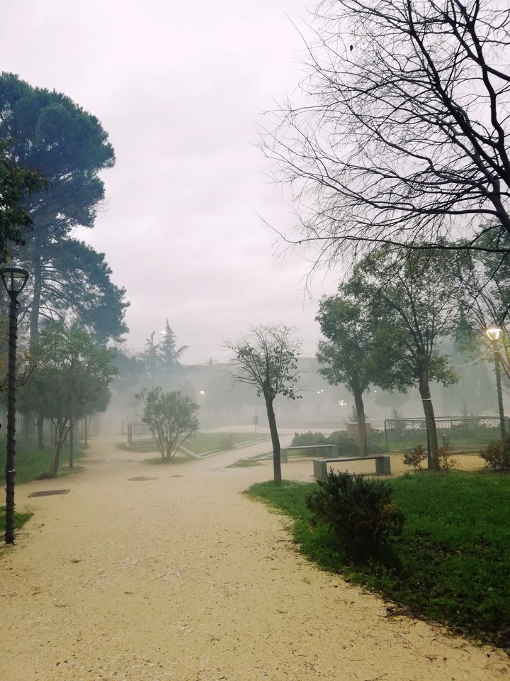 Fog in Town