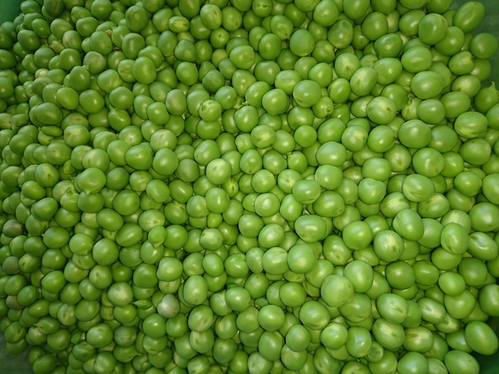 pea
