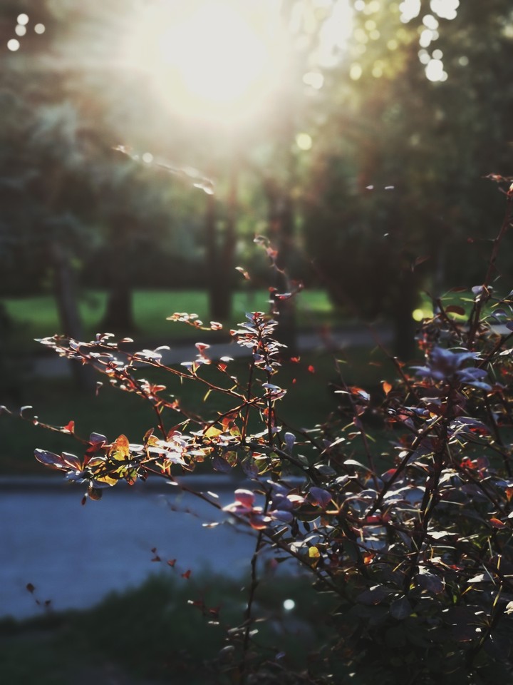 Nature