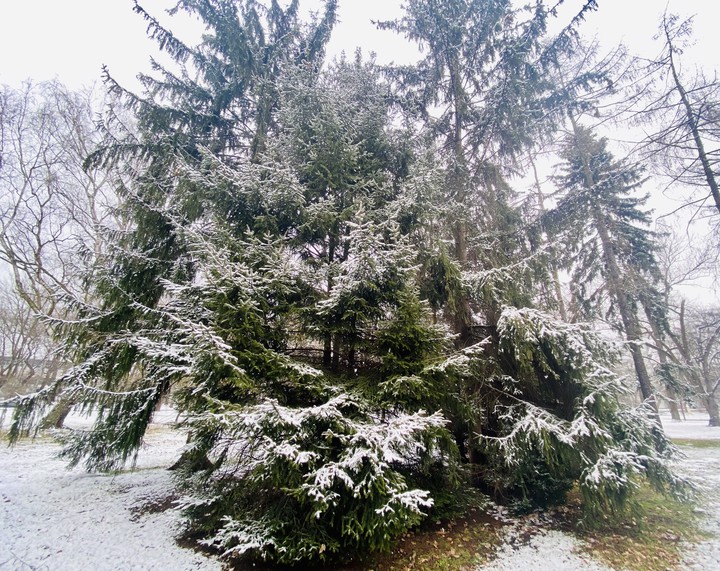 Winter