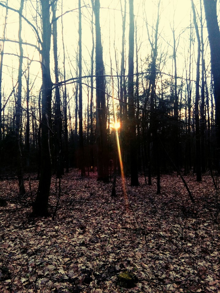 Hello sun