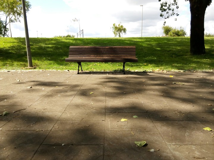 lonely bench