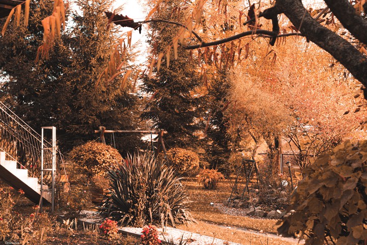 taste of autumn