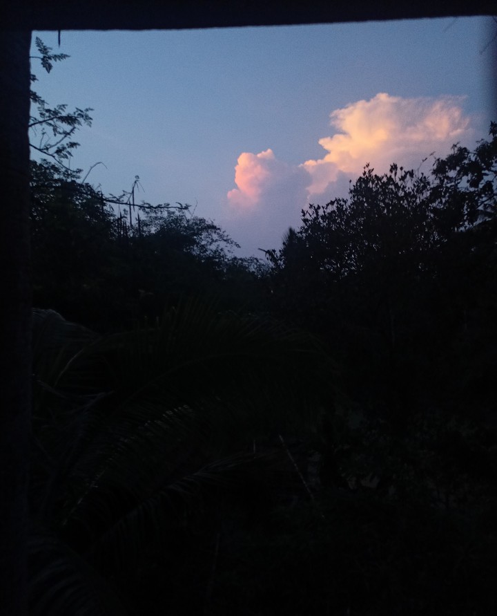 this pic change your mood