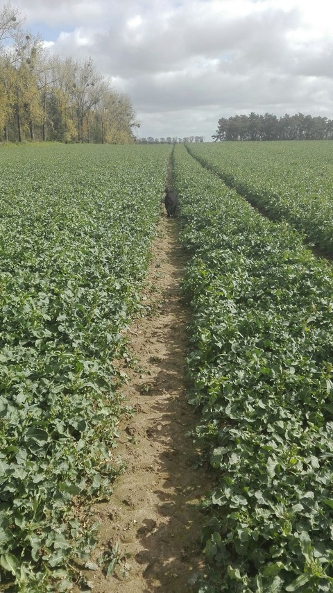 Path, runing, you :)
