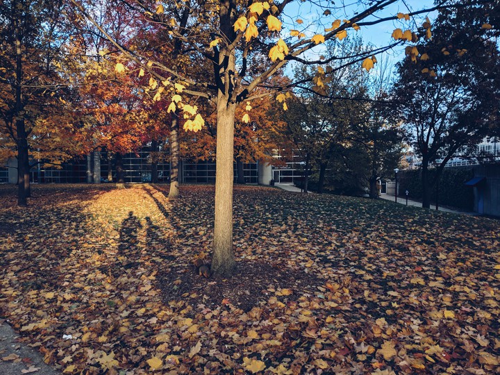 Shadow In the Picture