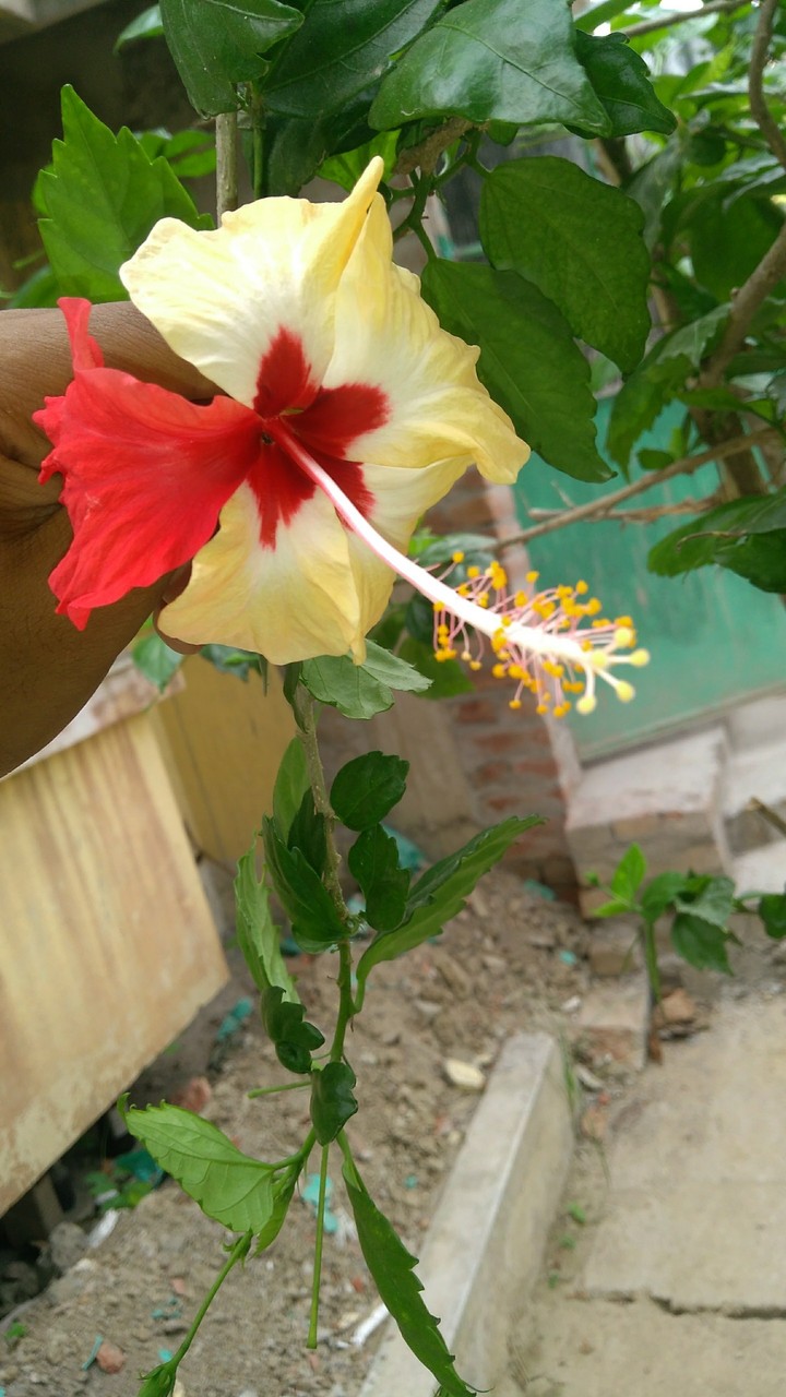 un-natural