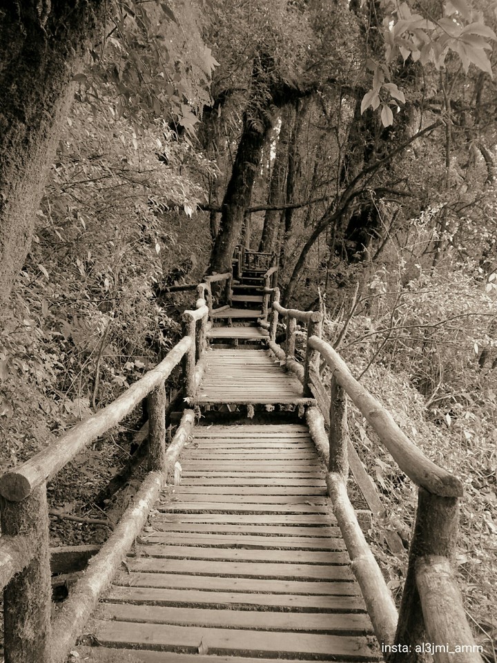 Asia