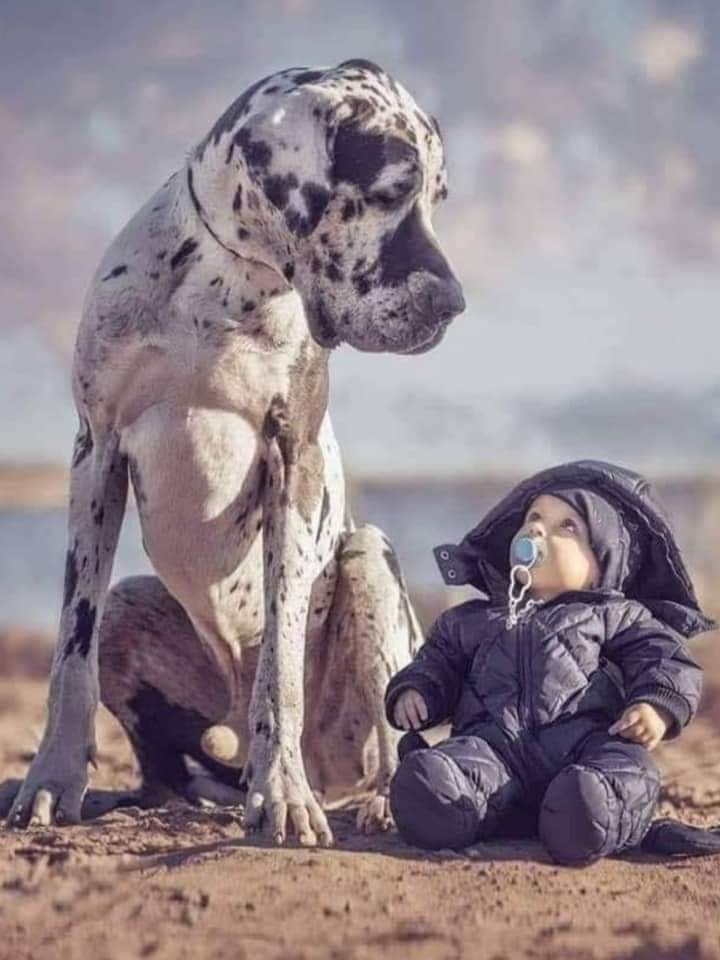 ❤❤
