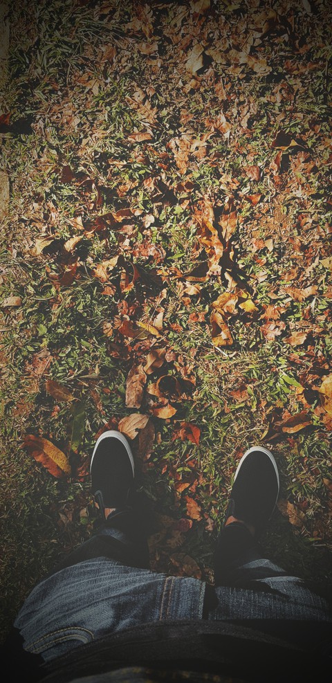 Autumn