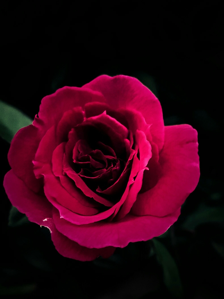 beauitful as it is