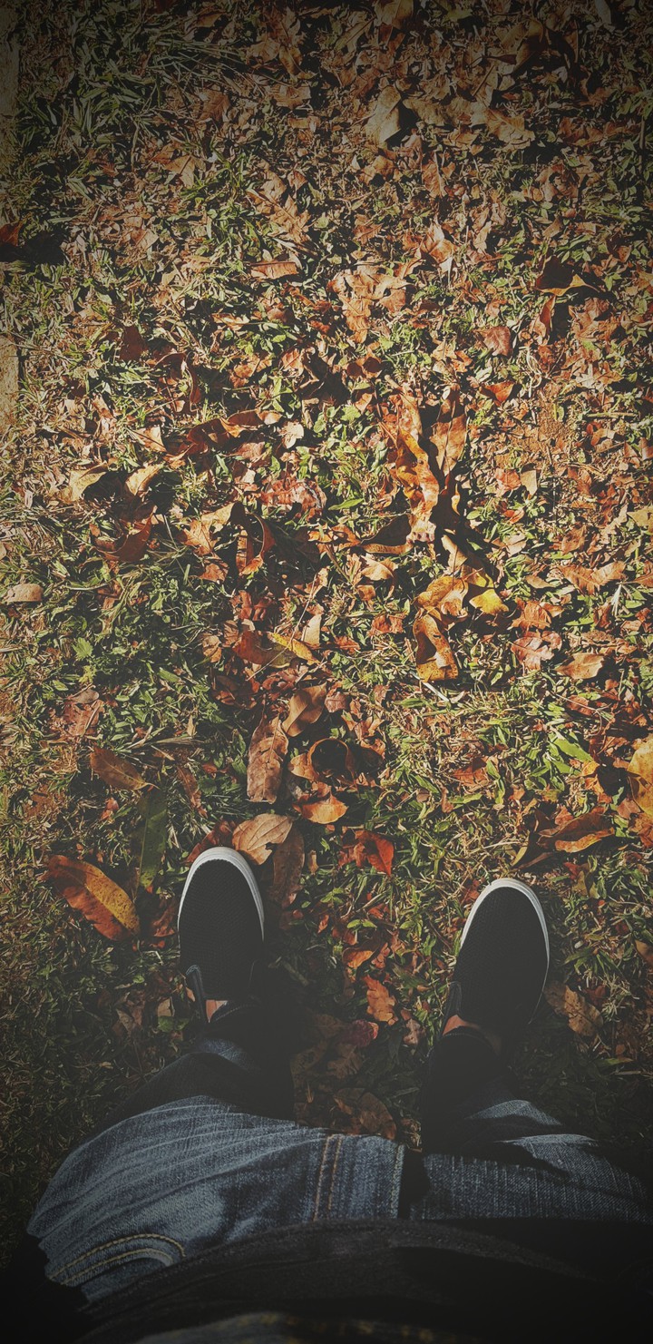 Autumn