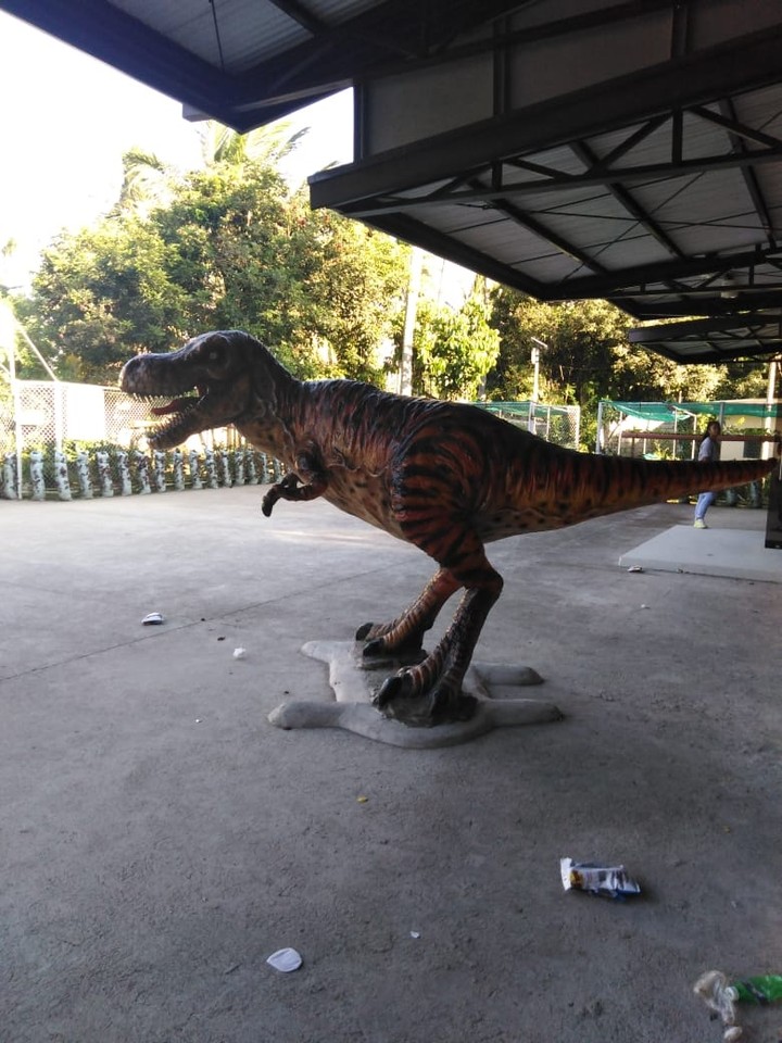 Dino