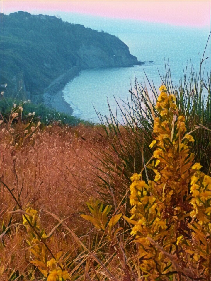 Ripari di Giobbe