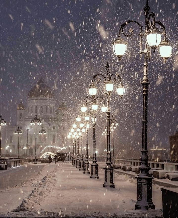 Winter❄