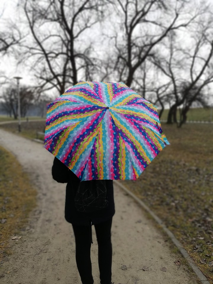 colors in life