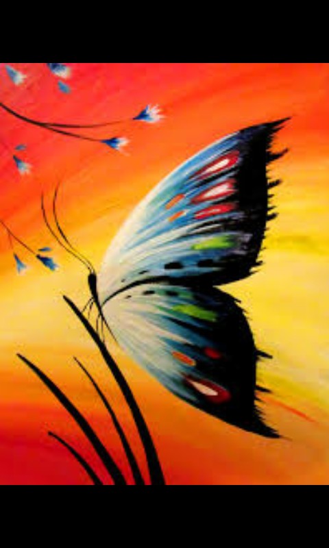 butterfly