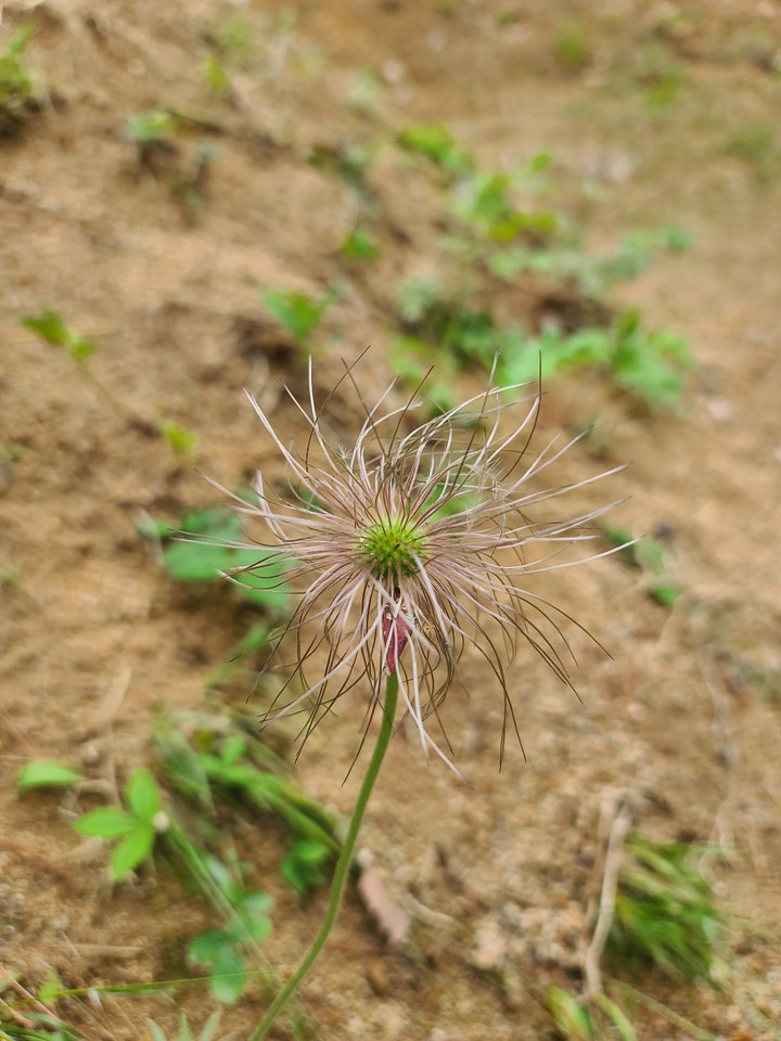 화면이 하고 싶어서