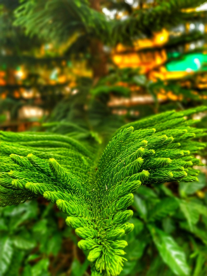GreenWorld