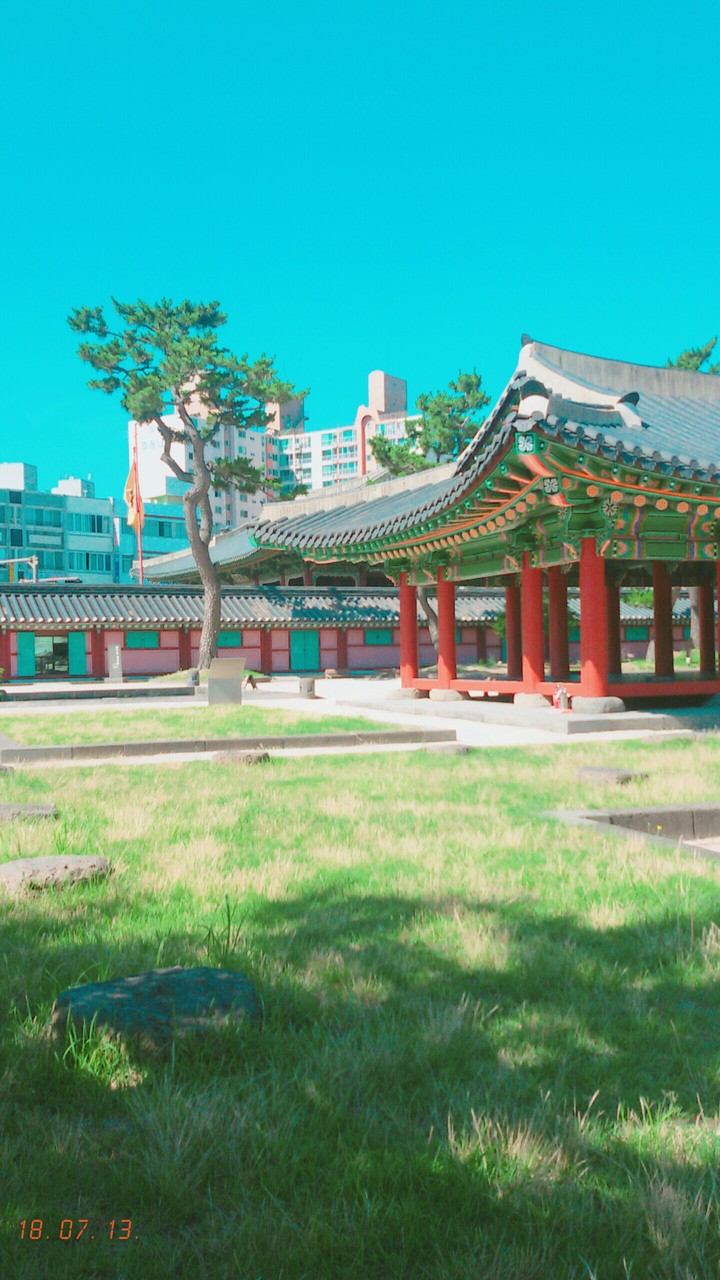 제주도 도착!