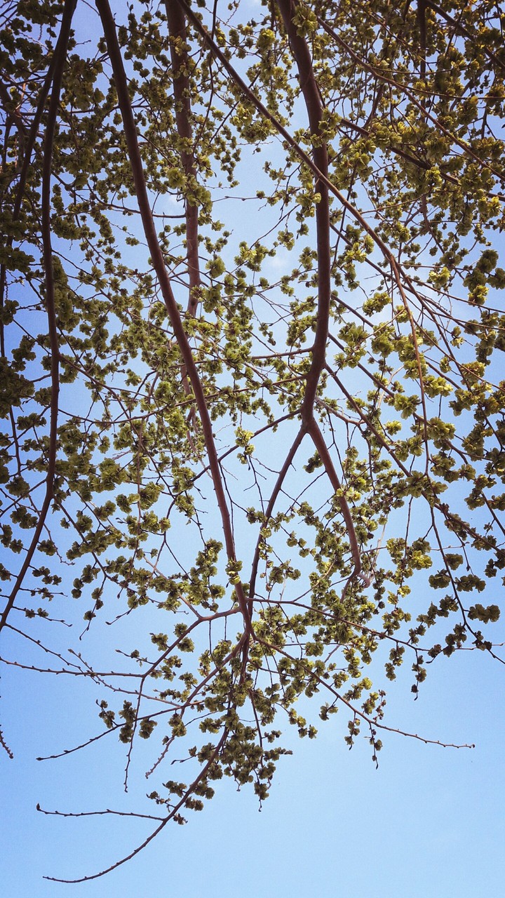 blue sky ❤