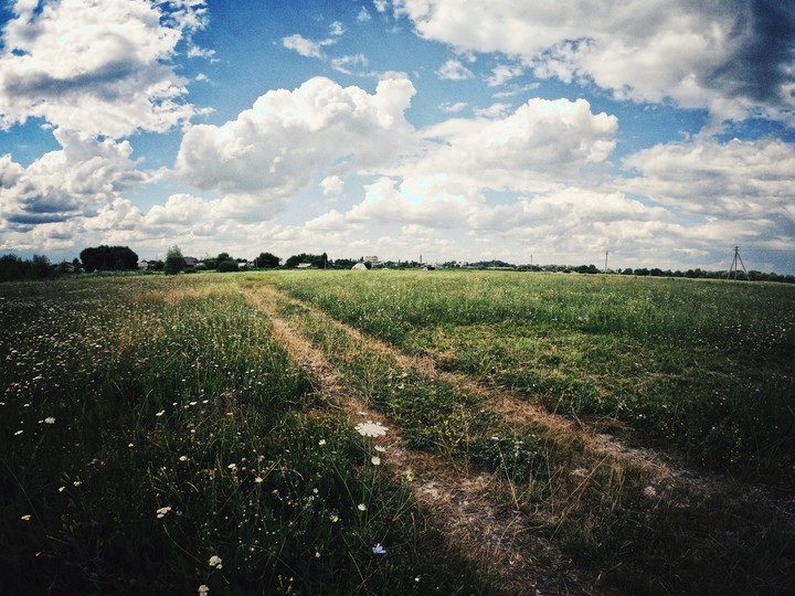 field