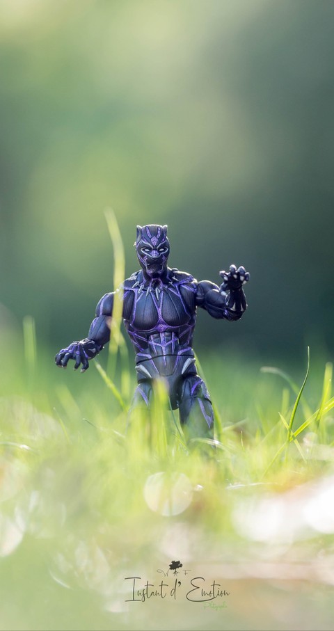 black panther