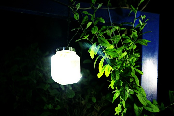 LEAVES LIGHT
