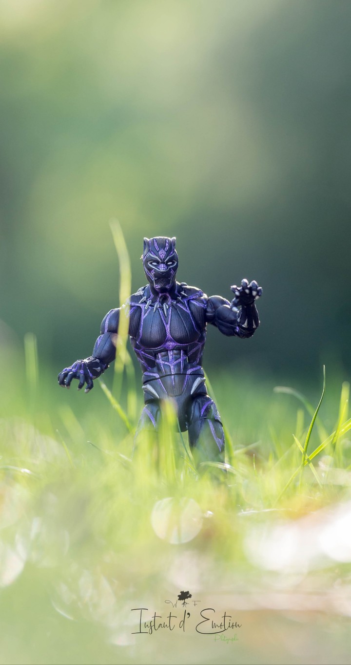 black panther