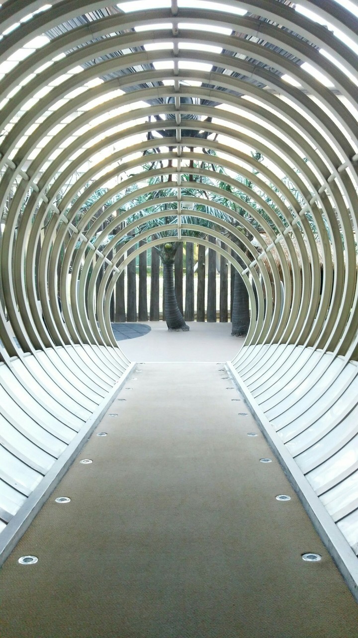 circle