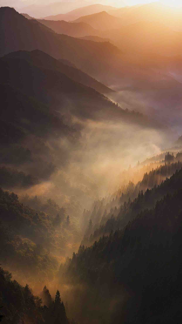 Nature
