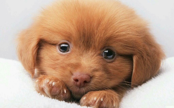 So Cute