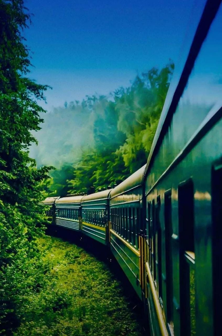 beautiful train ???????ride