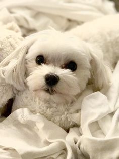 Cute.